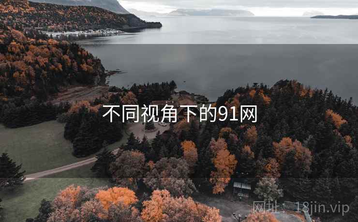 不同视角下的91网