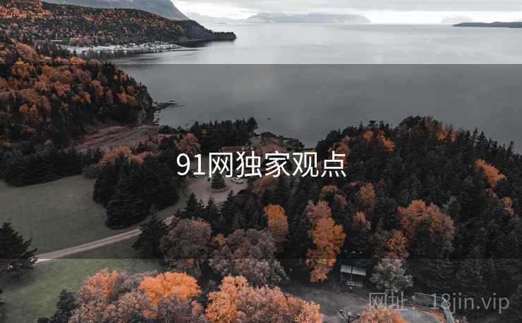 91网独家观点