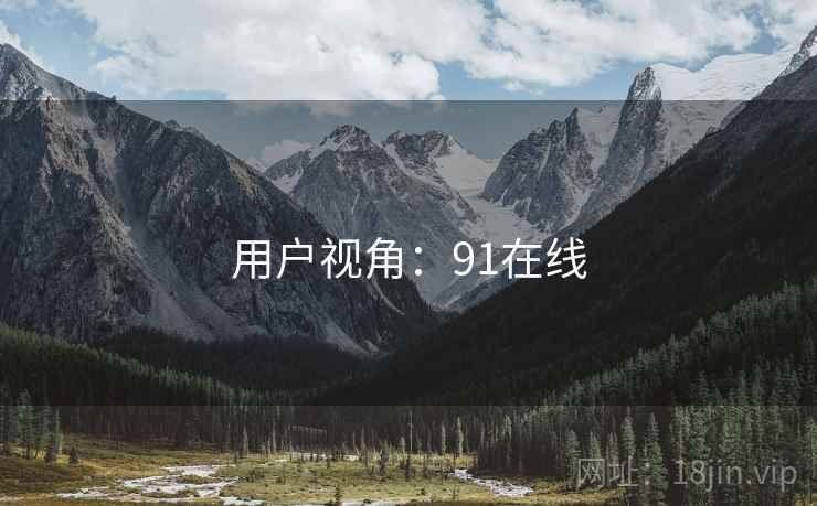 用户视角：91在线