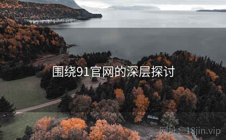 围绕91官网的深层探讨