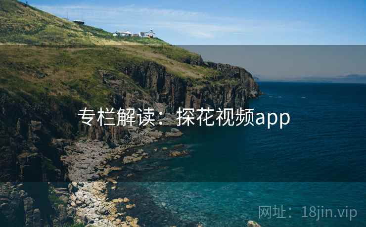 专栏解读：探花视频app